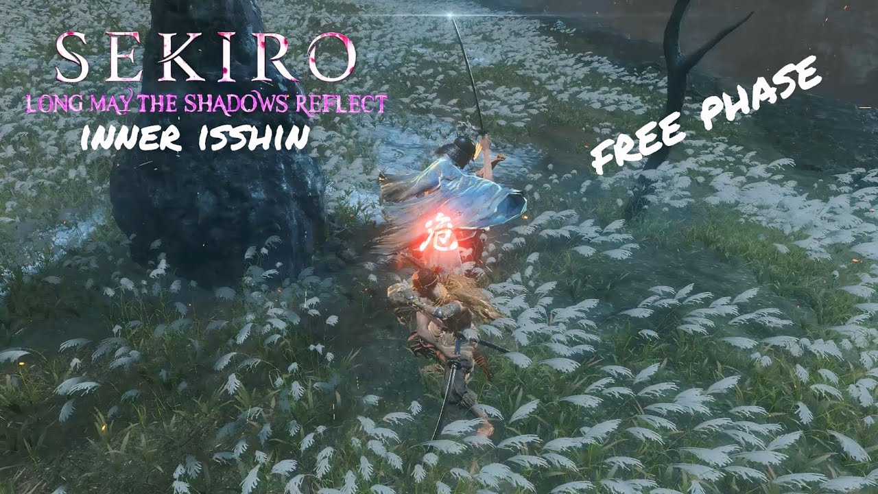 LMTSR inner isshin #sekiro