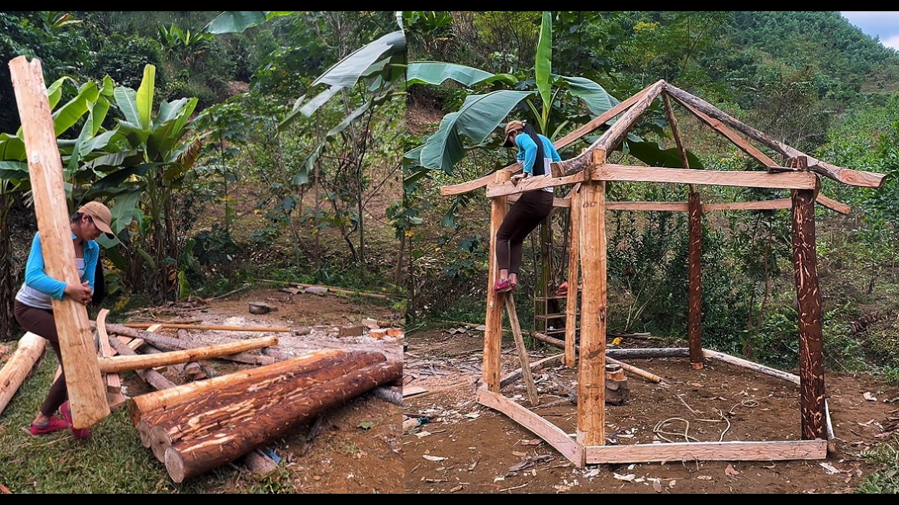 A Girl Builds a Wooden House Alone in the Mountains