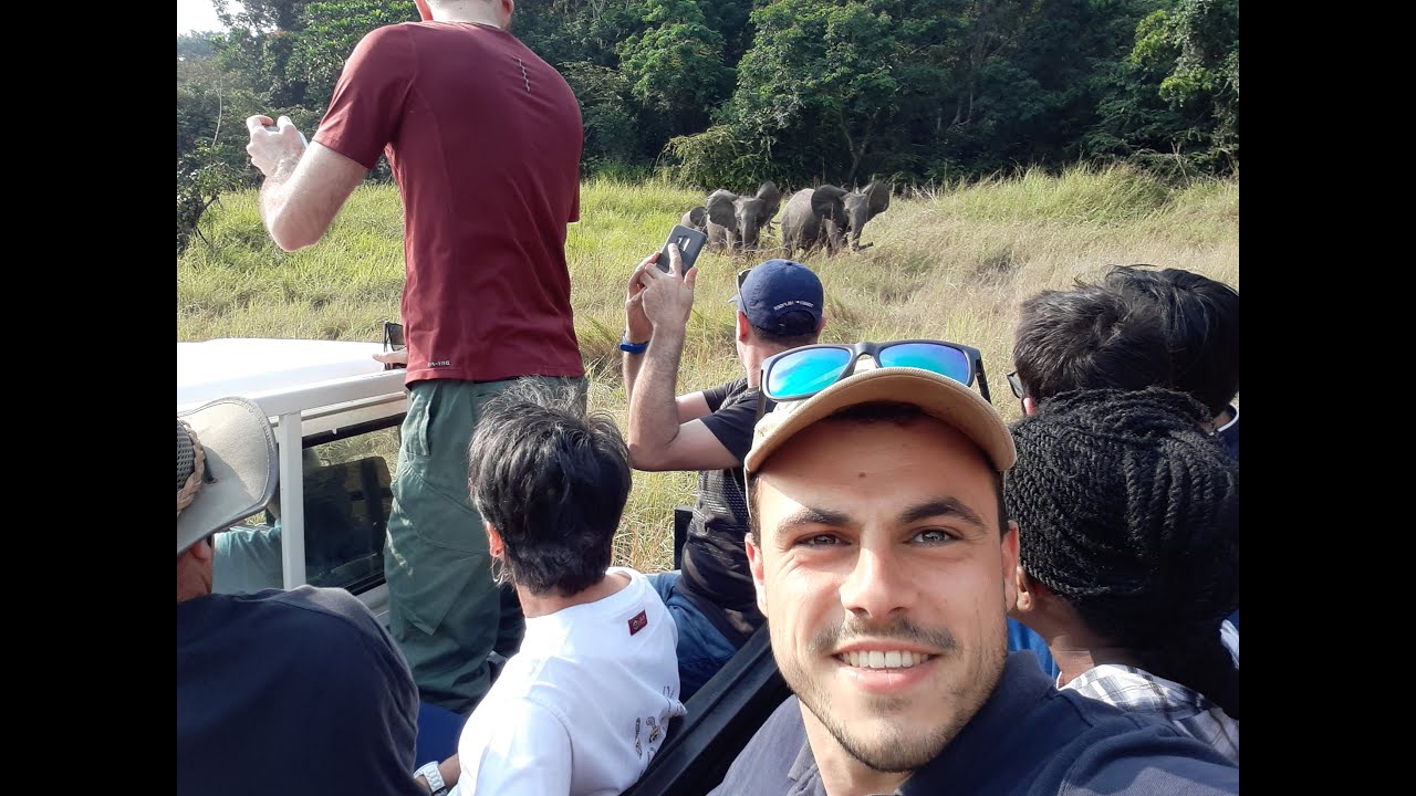 Safari de Nyoni&eacute; - Gabon