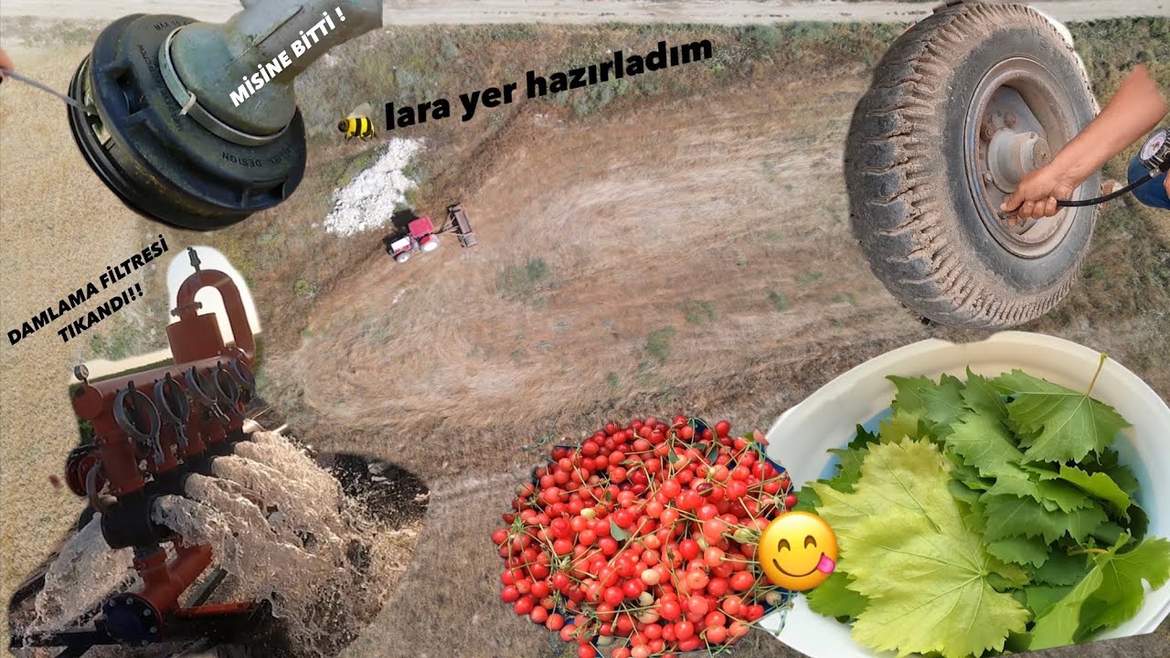 İKİ İŞİ DE HALLEDEMEDEN EVE DÖNDÜK :( HARMAN HAZIRLIKLARI BAŞLADI! ARILARA YER HAZIRLADIK!