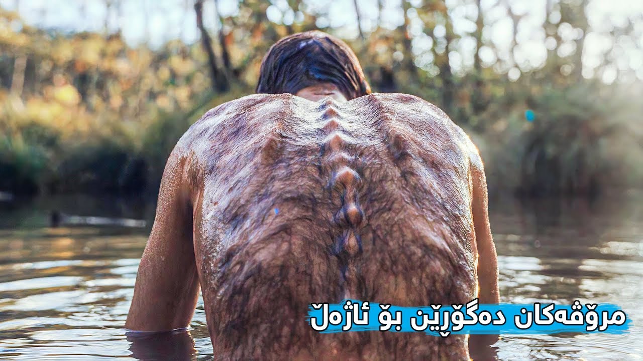 شەپۆلێکی گۆڕانکاری بەسەر جیهاندا دێت و هەندێک کەس هێواش هێواش دەبنە ئاژەڵ