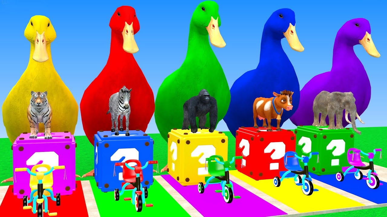 Long Slide Game With Cow Elephant Gorilla Hippopotamus Tiger 3d Animal Game Funny 3d Animals