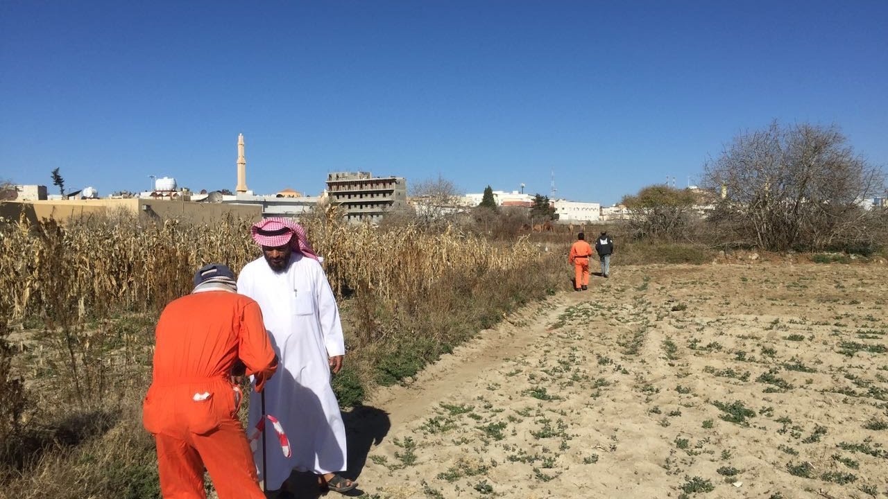 شارع ( بني بكر ) النماص