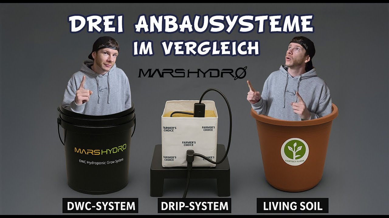 Drei Grow-Systeme im Vergleich Steinwolle vs Living Soil vs DWC | Mars Hydro FC4000 Setup