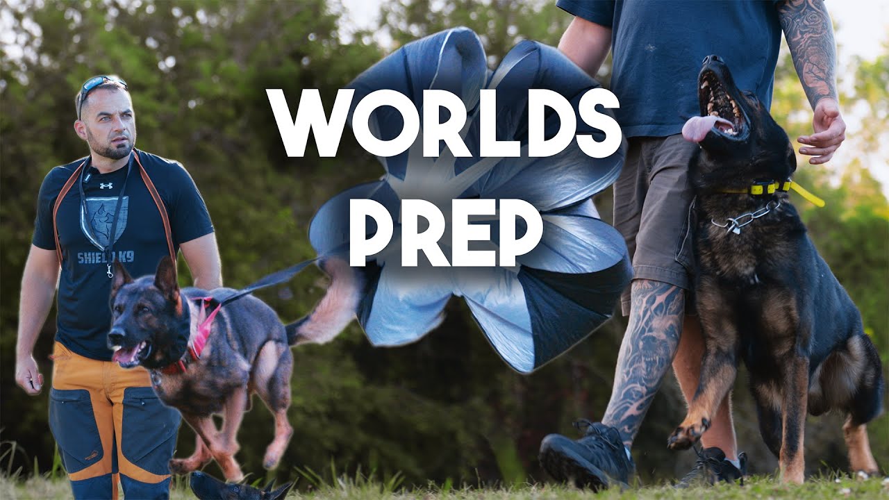 Our training before the World Cup 🌎🏆