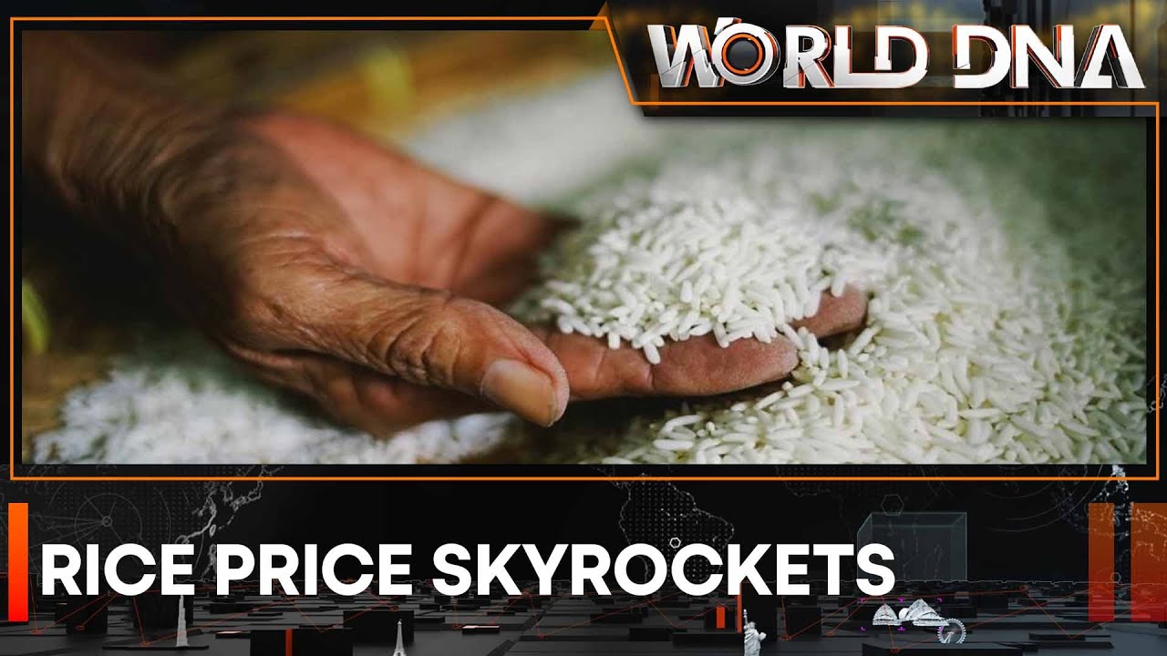 Rice crisis: Prices shoot to 15-year high as threat to supply persists in Asia | World DNA
