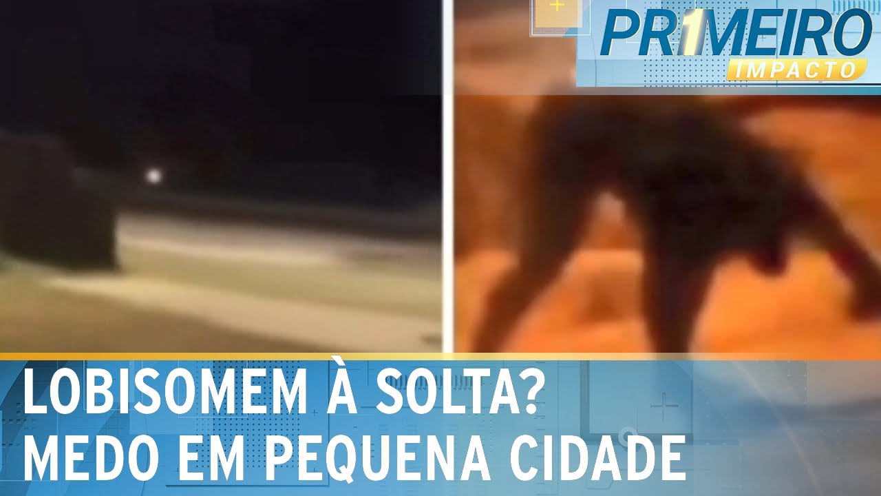 Suposto lobisomem causa pânico em cidade no Tocantins | Primeiro Impacto (07/03/25)