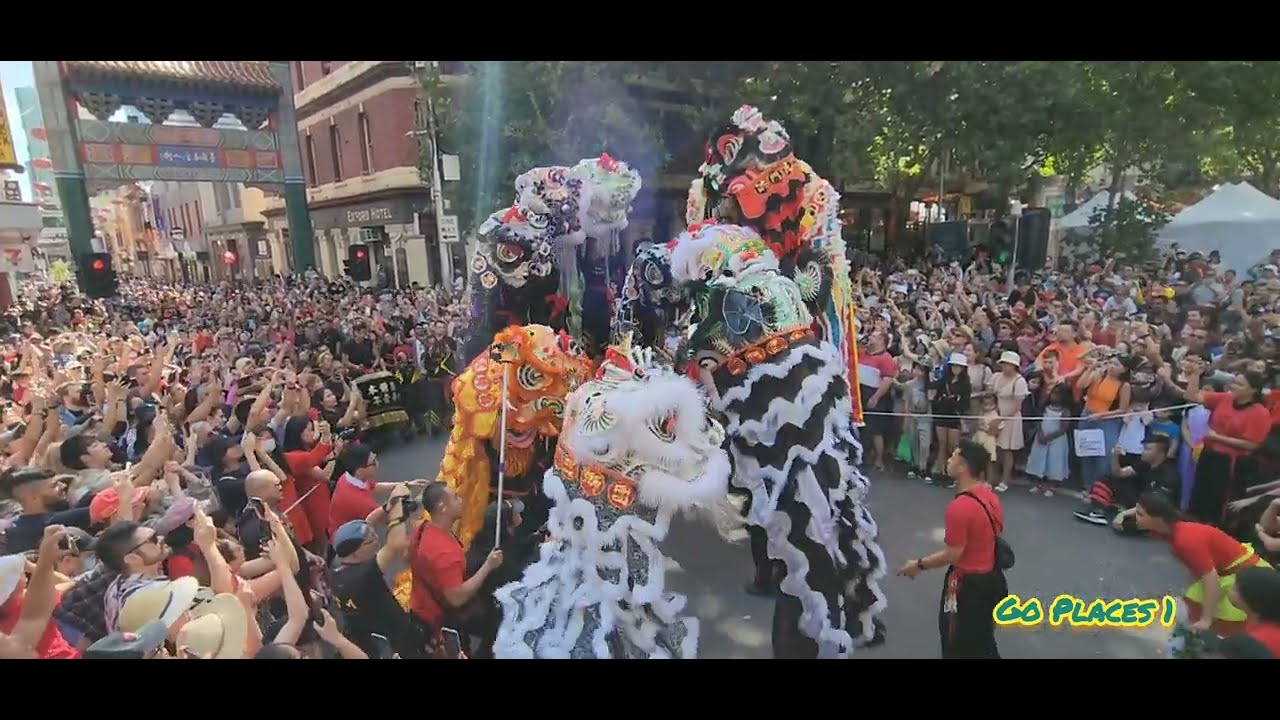 Lion Dance Melbourne Chinatown 2023 Hai đội Lân múa chào nhau ‎@goplaces1