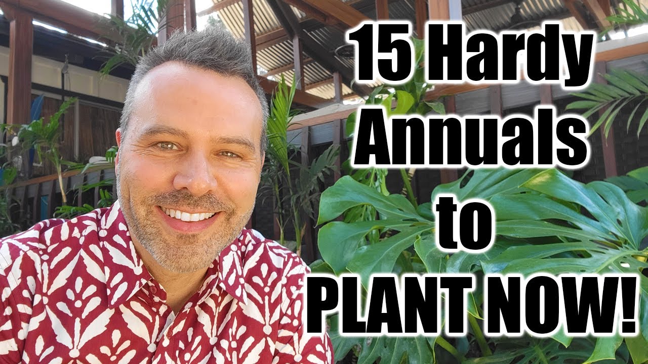 Hardy Annual Flowers to Plant in Fall // Any Climate!
