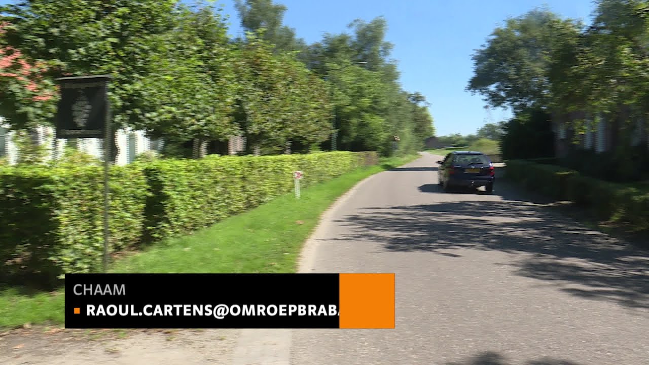 Wijngaard Dassemus in Chaam komt de slechte zomer redelijk door