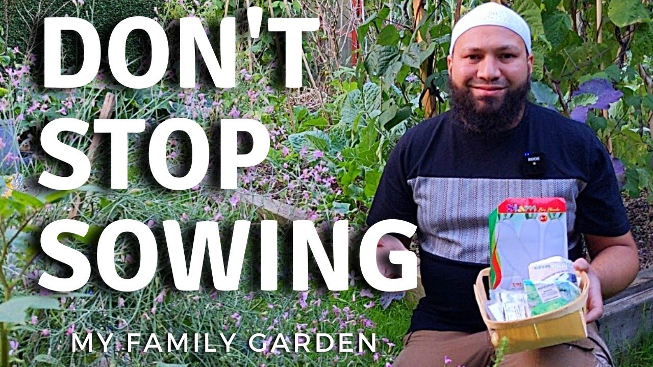 What Can I Grow In September  - What To Plant In September - Early Autumn Sowing Guide