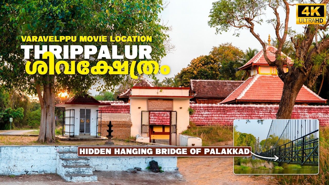 The Hidden Hanging Bridge of Palakkad | തൃപ്പാളൂർ ശിവക്ഷേത്രം | Varavelpu Movie Location