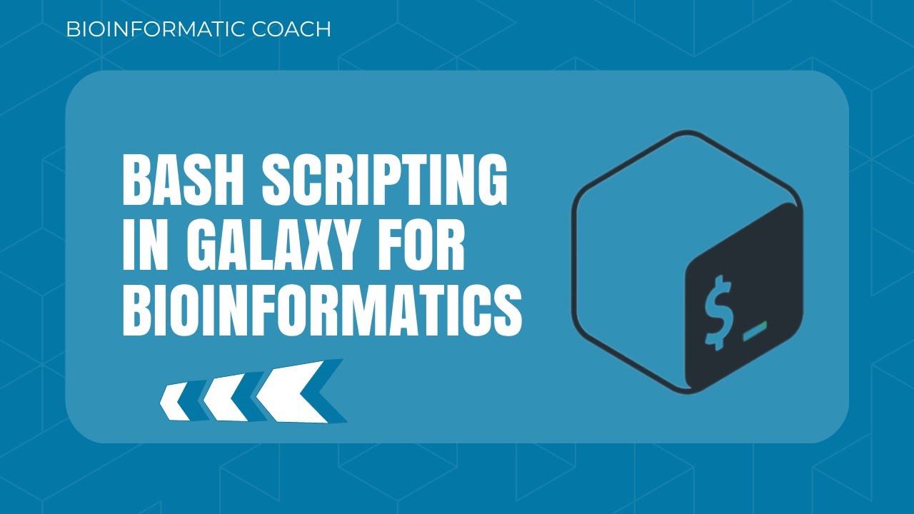 Bash Scripting in Galaxy Tutorial