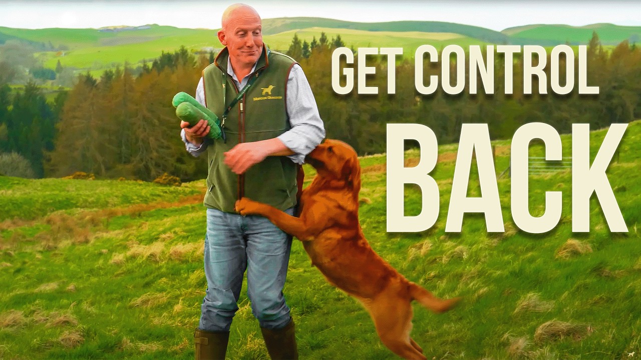 How To RETRAIN A VERY Naughty Dog