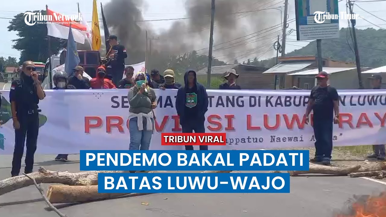 Luwu Raya Diperkirakan Lumpuh di Tanggal 23 Januari, Demo Besar-besaran Provinsi Luwu Raya
