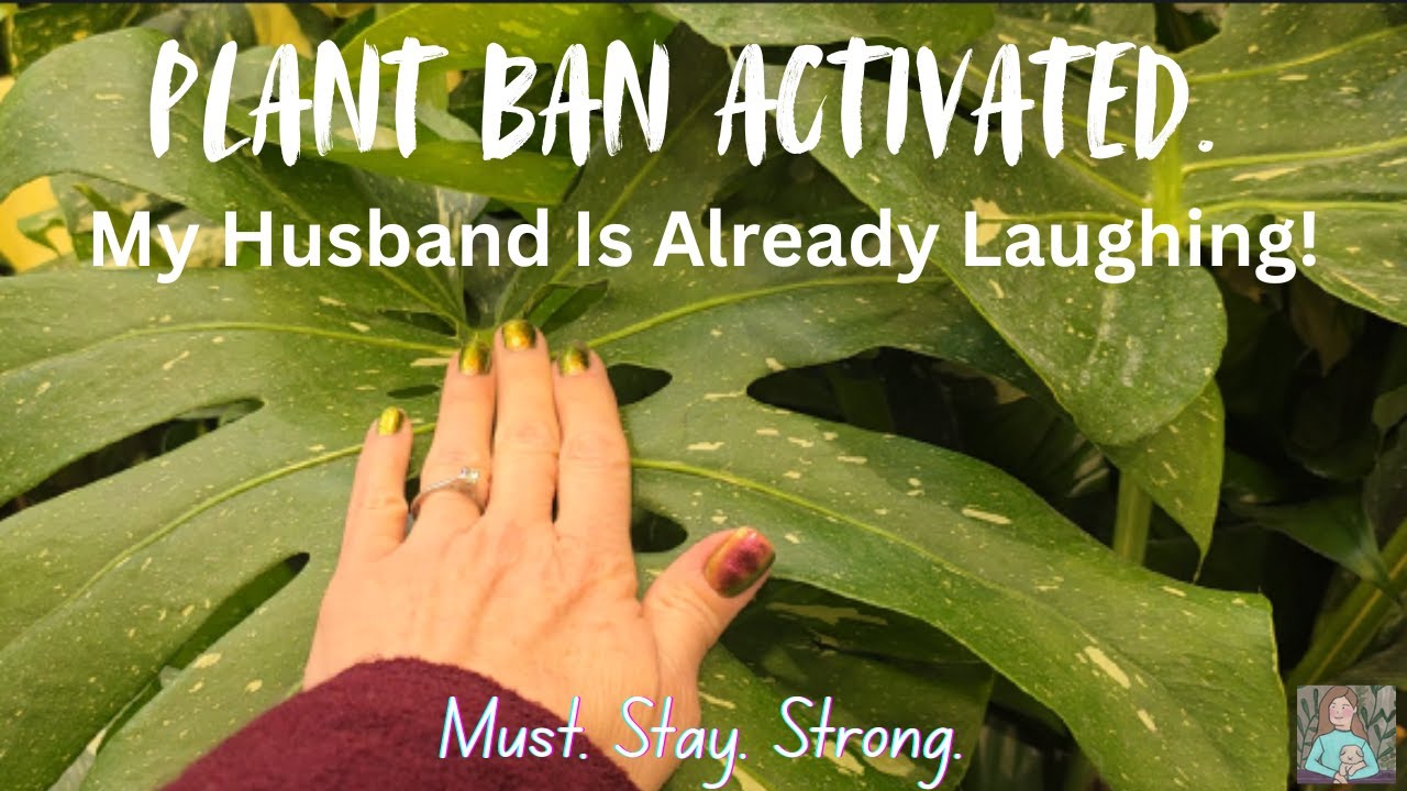 Lowes First, Then Plant Ban Activated. My Husband Is Already Laughing. LOL