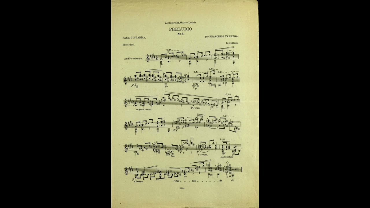 Tárrega - Prelude in E major | Gut and Silk Strings No Nails A=426Hz