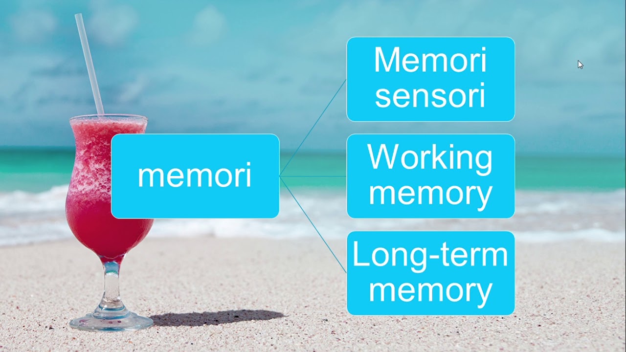 Psikologi Kognitif - Memory / memori : Tahap 1