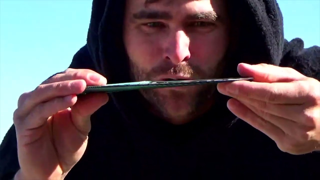 BS ROUGH CUT - RED TIGER THREE BEARS !!