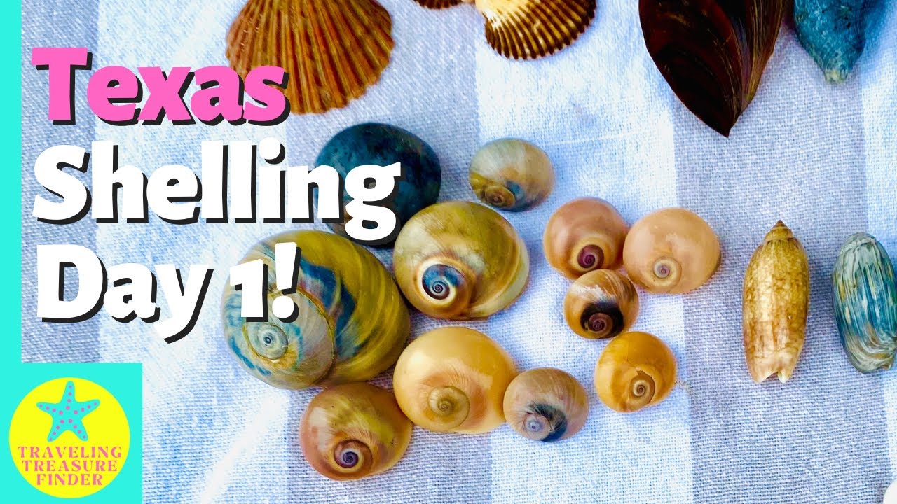 Shelling and Sea glass hunting near Galveston, Texas! | Part 1 of five videos with amazing finds!