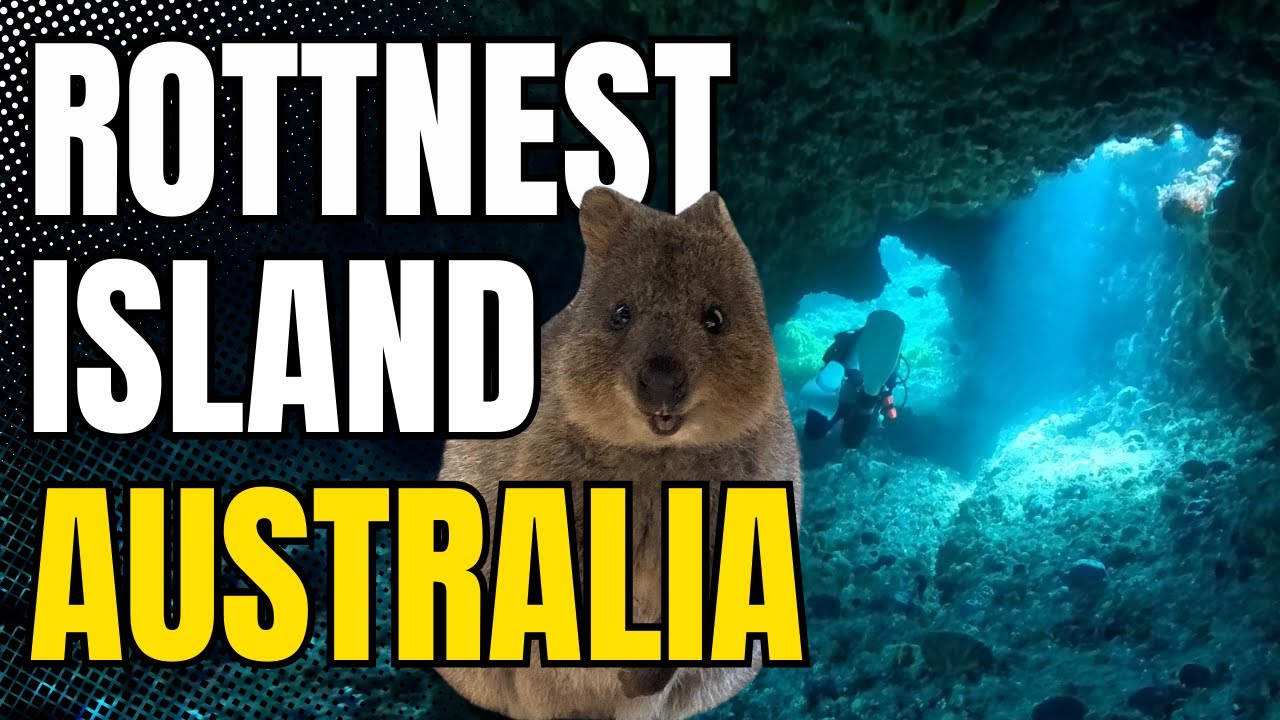 Scuba Diving Rottnest Island 🇦🇺