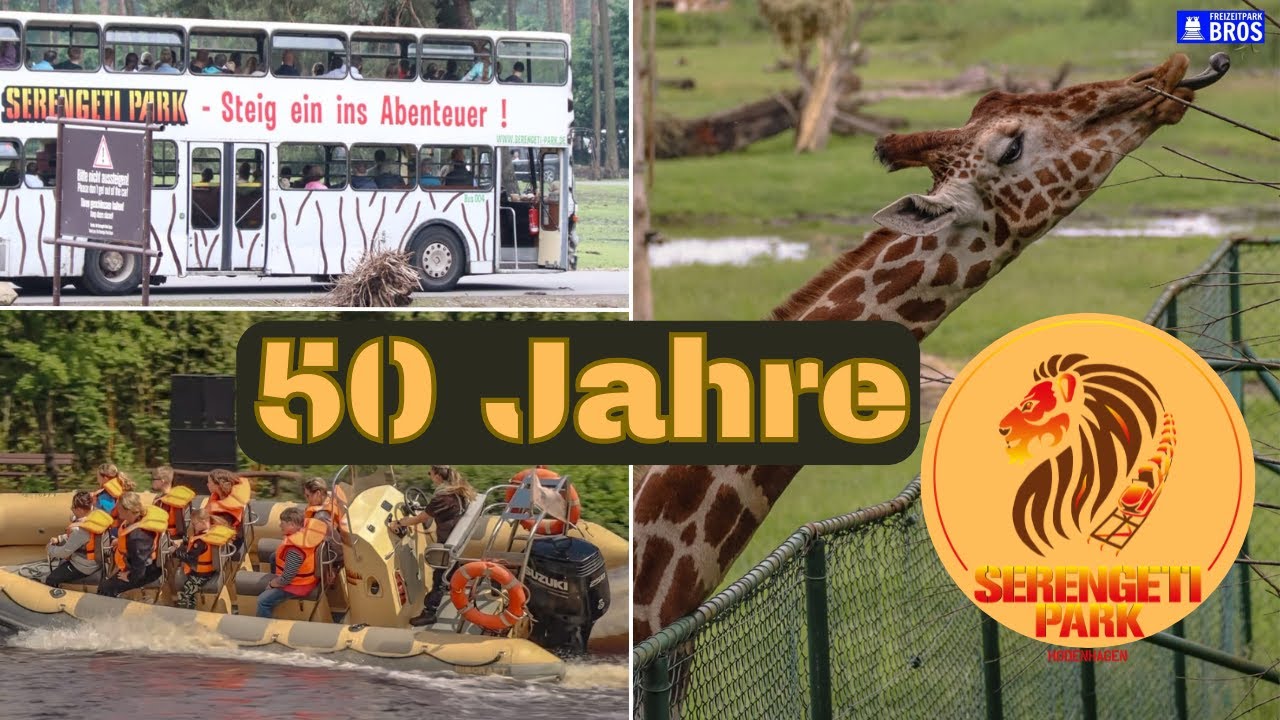 50 Jahre Serengeti-Park Hodenhagen | Wir feiern das große Safari Abenteuer 🥳