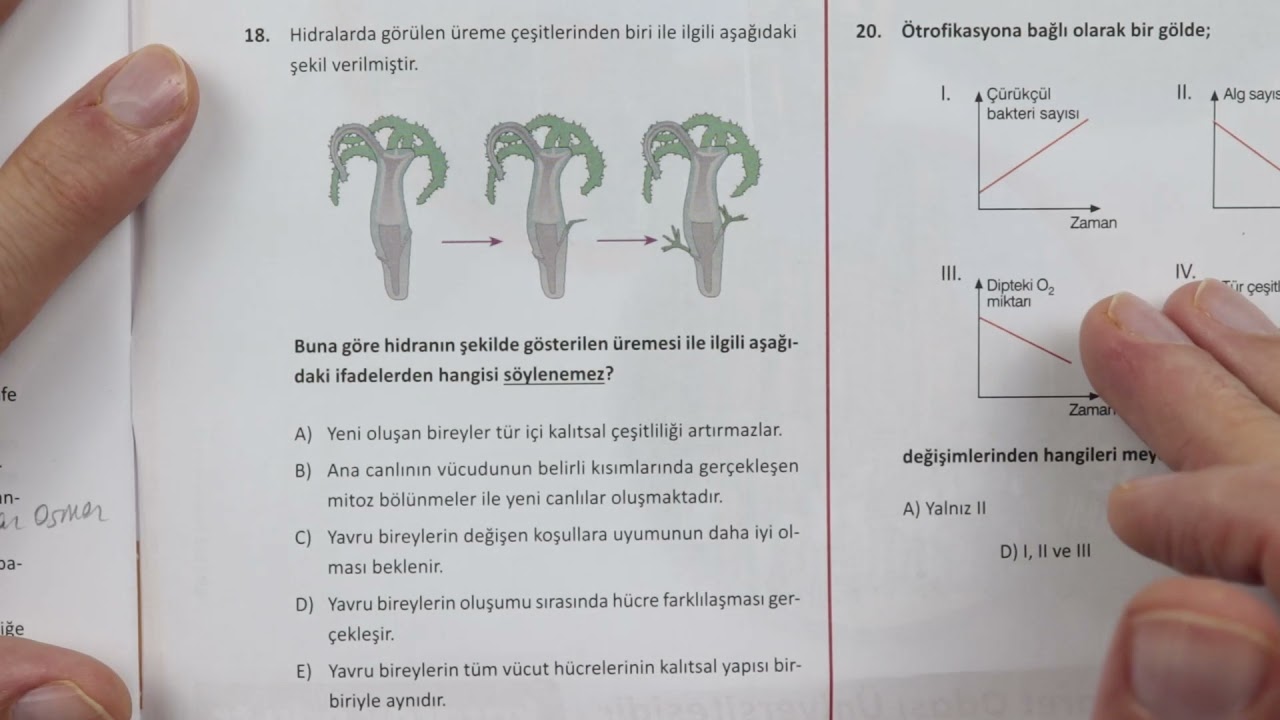 Özdebir Türkiye Geneli TYT Deneme-2 Biyoloji Çözümleri(Y0212)
