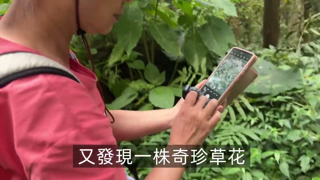 20251023溪頭健走