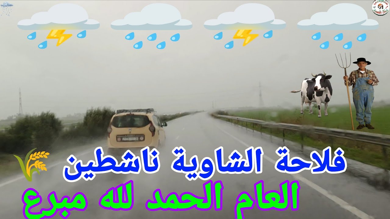 لازالت التساقطات 🌧️⛈️ المطرية الغزيرة ⛈️🌧️ متواصلة جهة الشاوية 🌾🌾🇲🇦