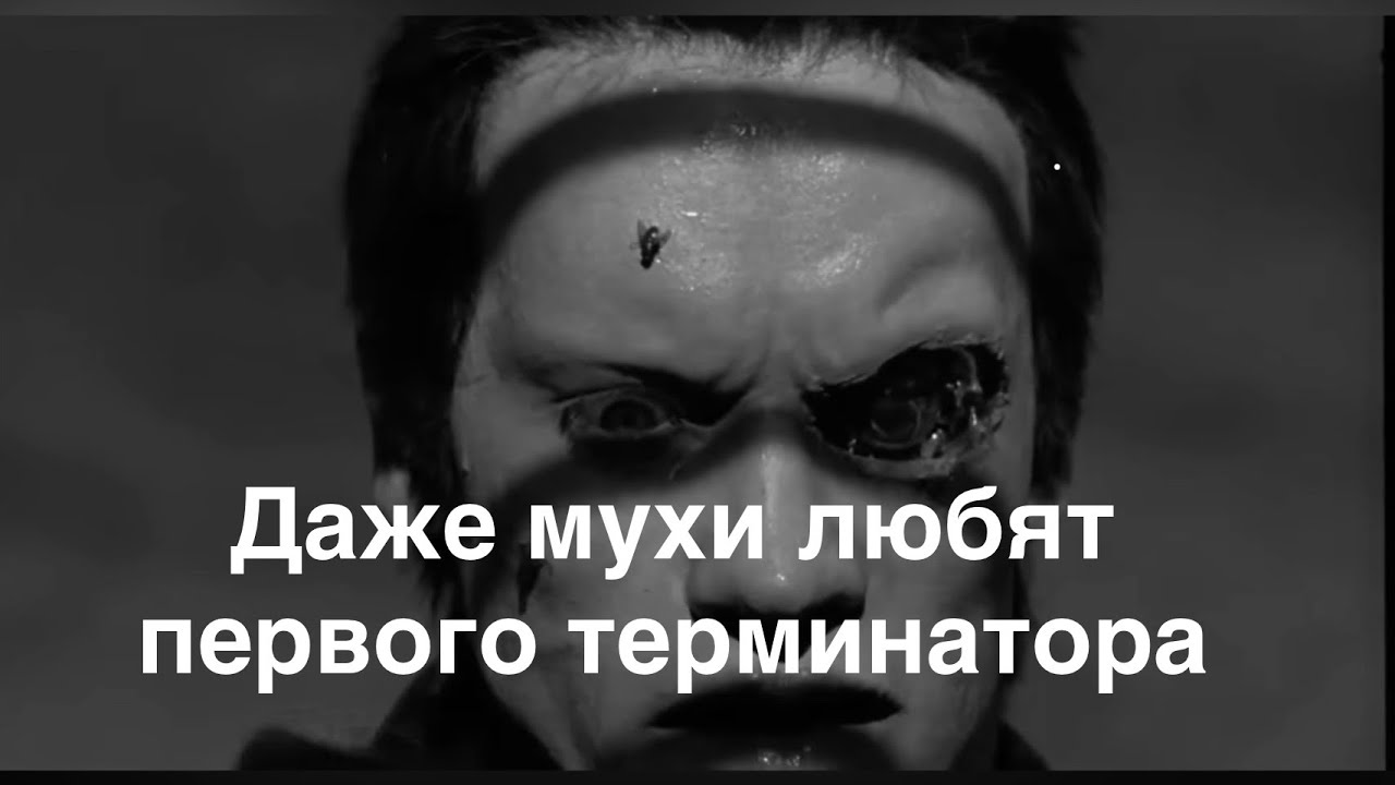 Почему Терминатор 1984 не нуждается в сиквелах
