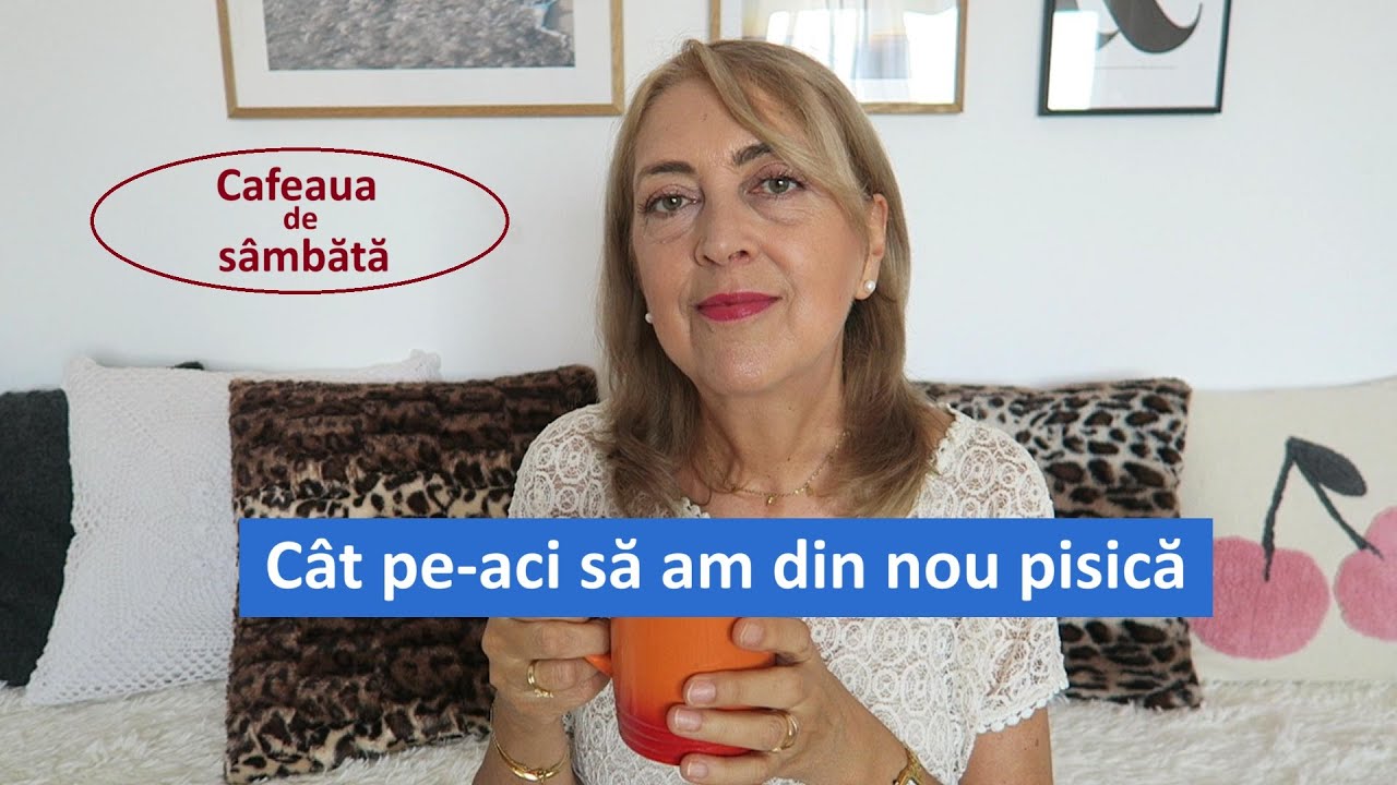 Cafeaua de sambata/ Cat pe-aci sa am din nou pisica