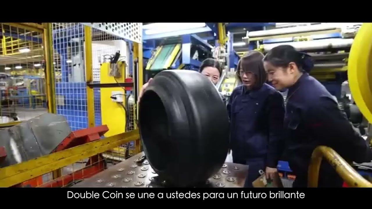 Neum&aacute;ticos Double Coin