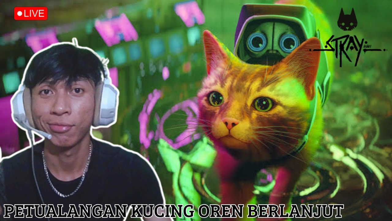 BERTUALANG BERSAMA KUCING OYEN BUBBY KIRTINIGIRI! - Stray PART 2