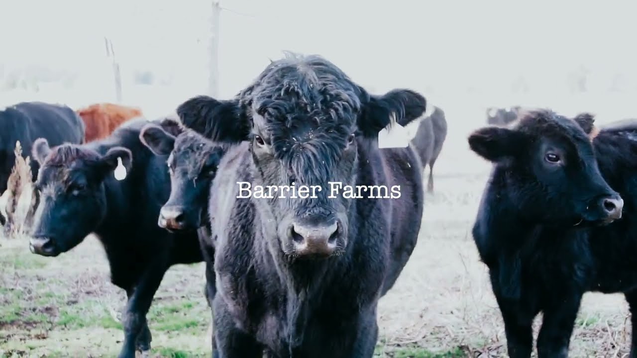 Barrier Farms Promotional Video | Buckley's Videography