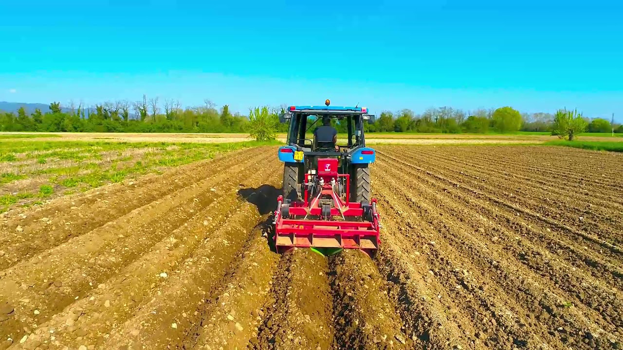 Fasi della produzione di patate dell'Azienda Agricola Gentilini Ernesto