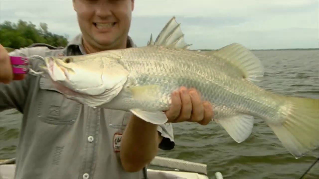 IFISH Purple Pubs, BIG CROCS & the Norman River!