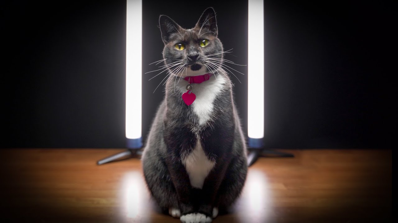 The BEST BUDGET 2 foot RGB TUBE light: Sutefoto TP25-RGB