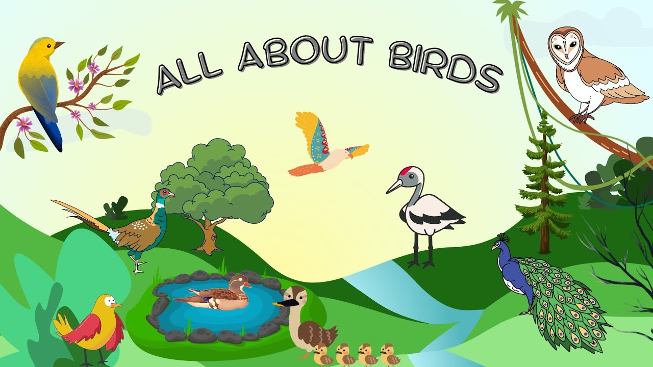 Can All Birds Fly? 🤔 #scienceforkids 