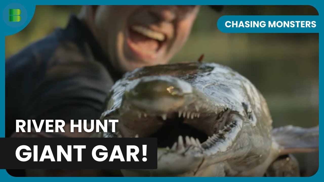 River Hunt: Giant Gar! - Chasing Monsters - Fishing Show