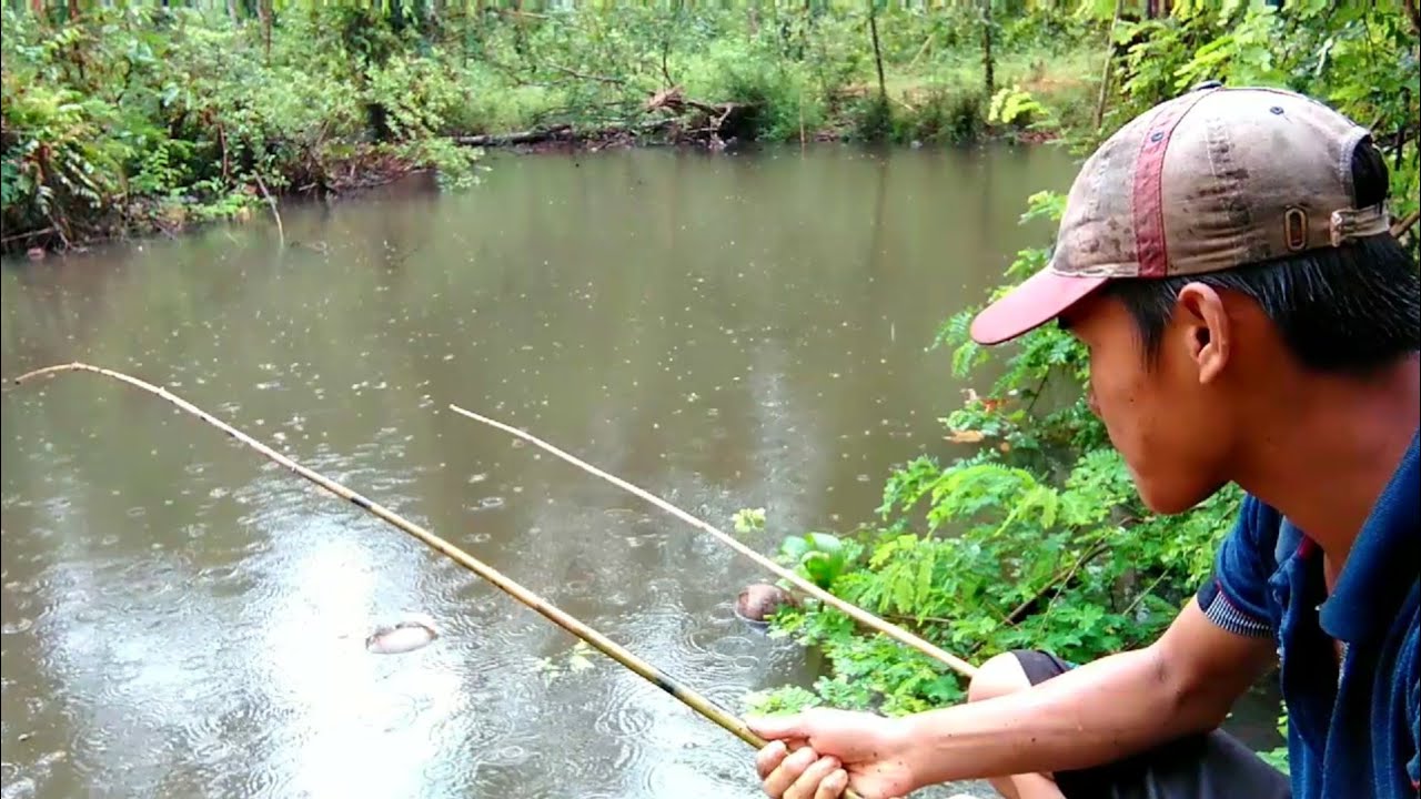 hook fishing | pamimingwit ng habang umuulan | pangingisda