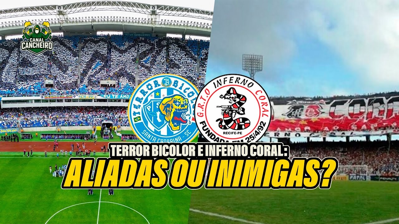PAYSANDU E SANTA CRUZ: TUTB E TOIC SÃO AMIGAS OU RIVAIS?