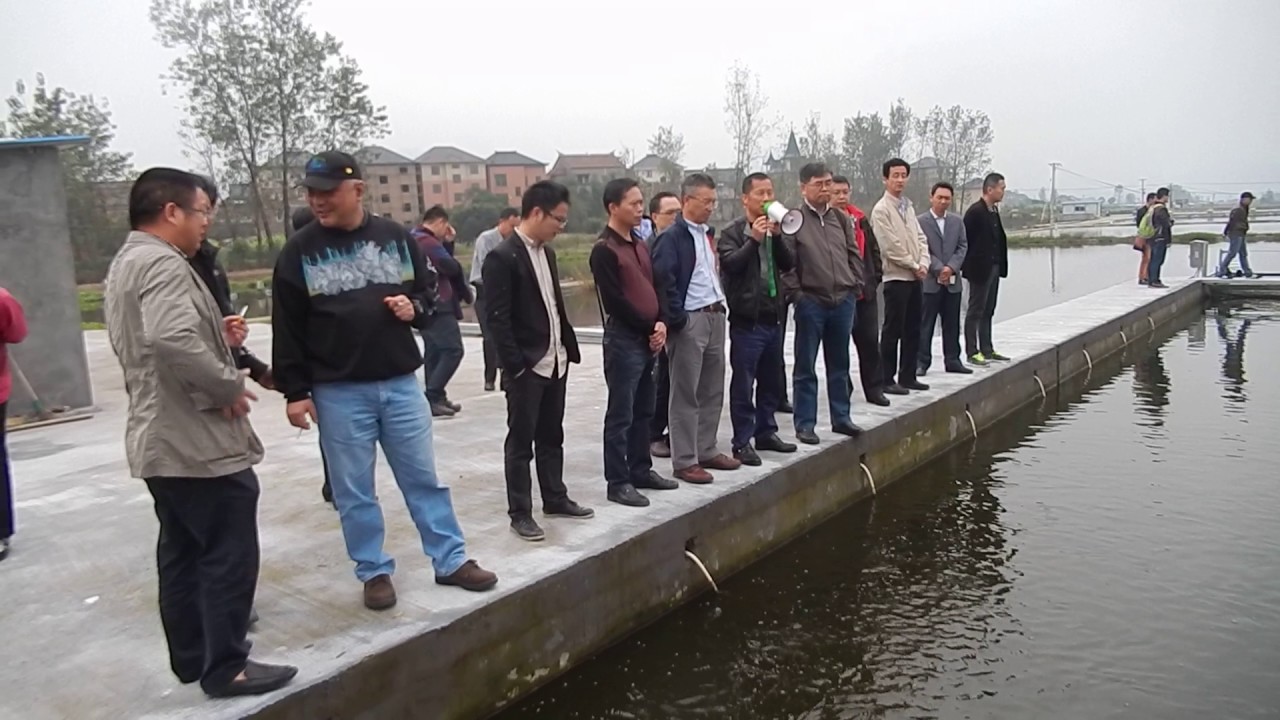 Tour of IPRS System