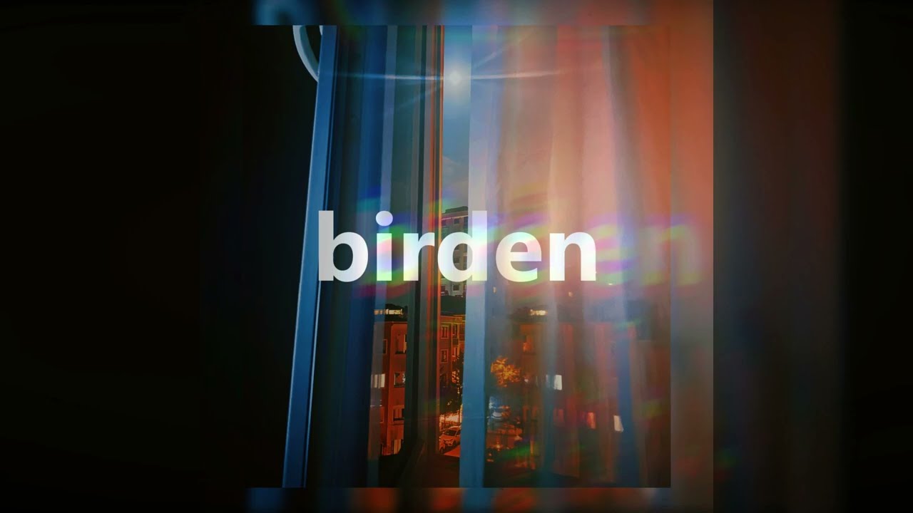 Shelby - Birden