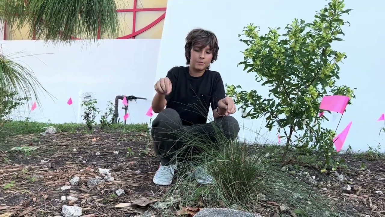 Luca Magalhaes and Enzo Stoppi &ldquo;Pine Rockland&rdquo; Speech (Part 2)