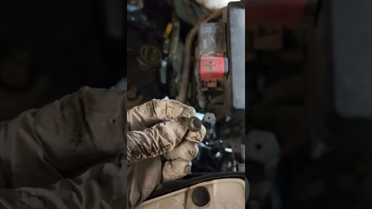2016 Ford Transit 150 3.7L Lower Radiator Hose Replacement