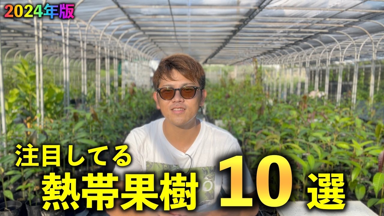 【2024年版】熱帯果樹系Youtuberが，いま注目してる熱帯果樹「10」選