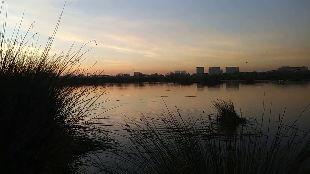 Sun Set At The San Joaquin Marsh & Wildlife Sanctuary [Irvine,CA]
