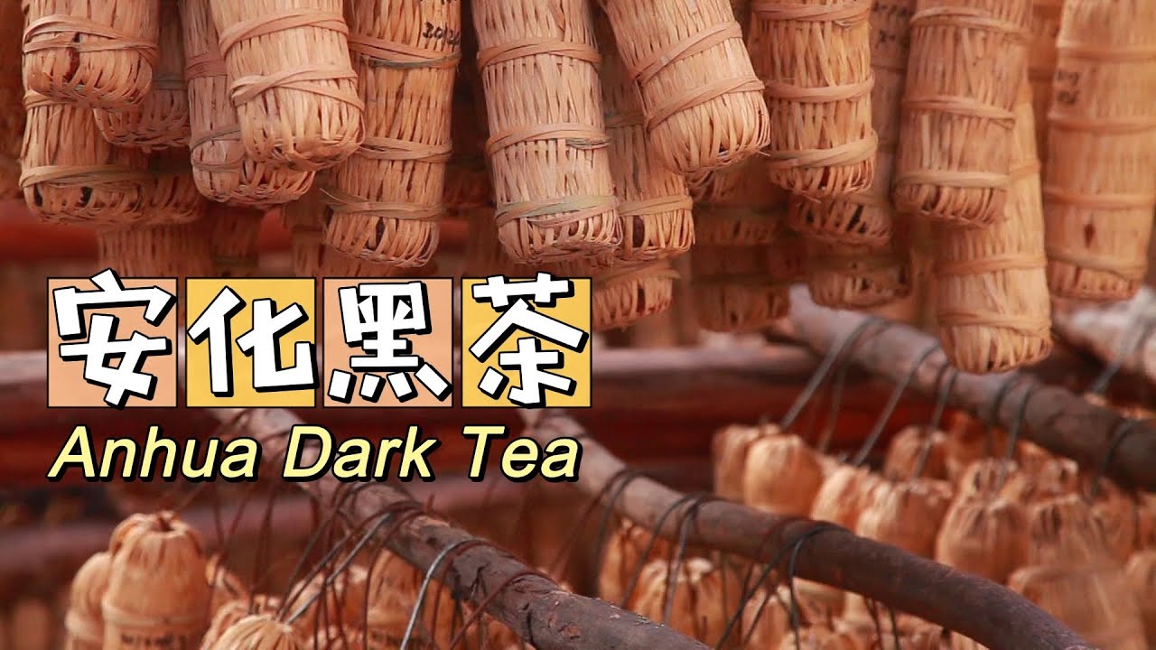 Anhua Dark Tea/安化黑茶(下)