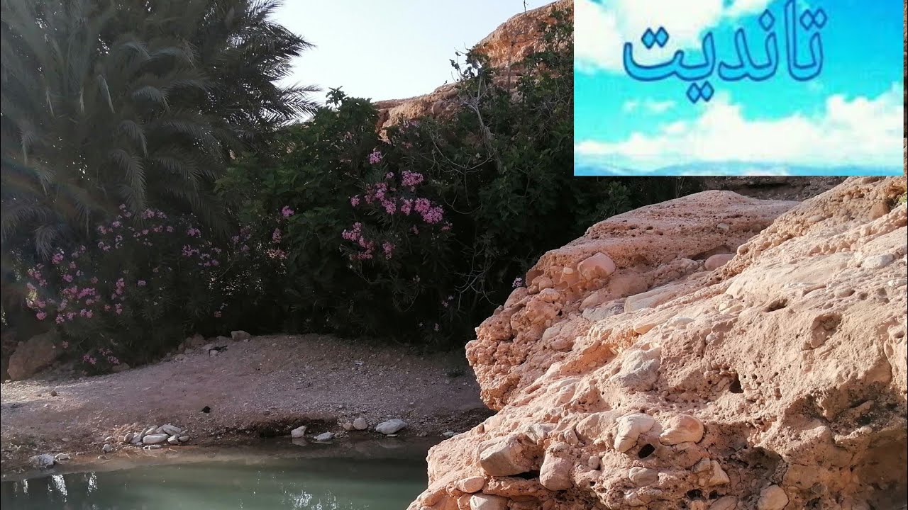 خريجة خفيفة إلى 