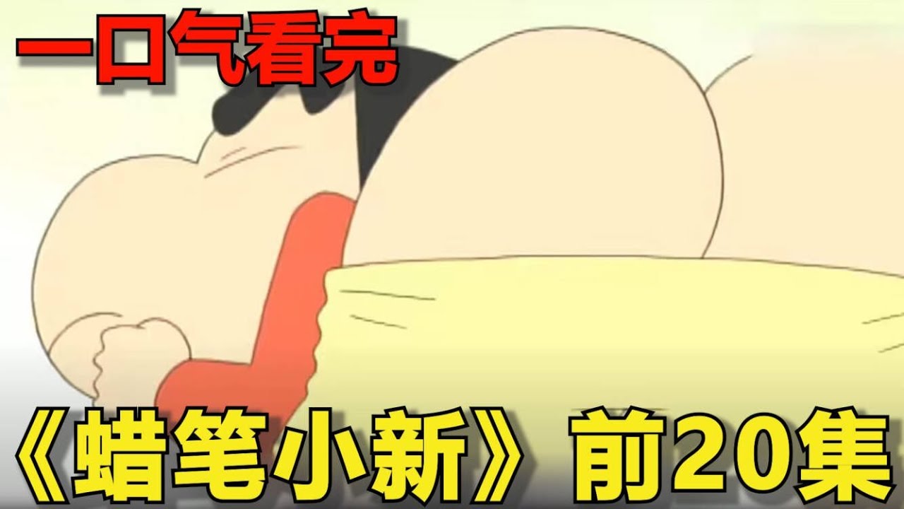 一口气看完《蜡笔小新》前20集！小白成为神犬，小新神秘失踪！